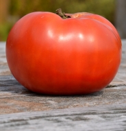 Tomate variété